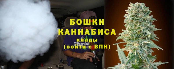 2c-b Богородск