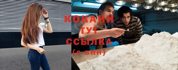 мескалин Богородицк